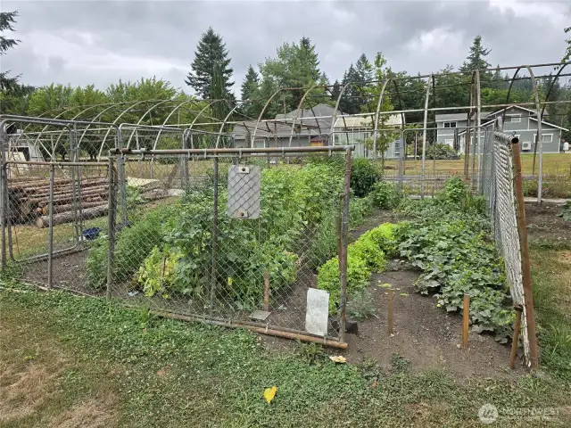 Vegetable Garden