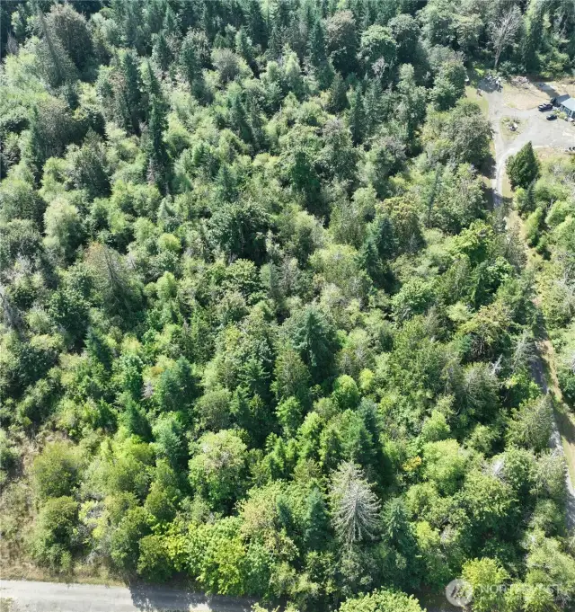 Overview of property