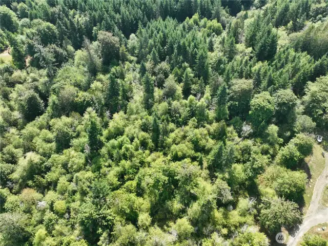 Arial of property