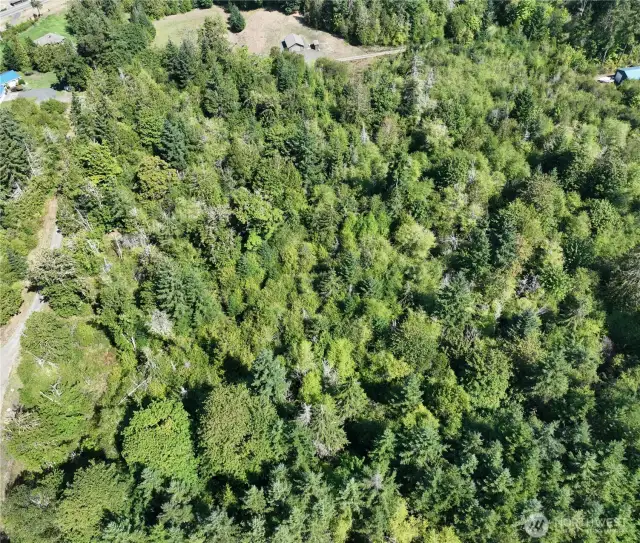 Arial of property