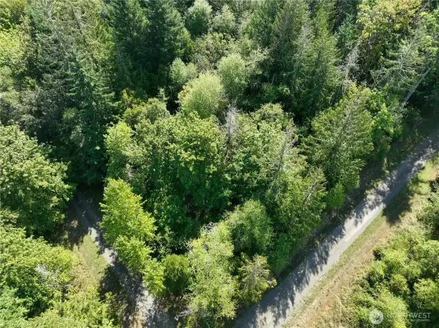 Arial of property