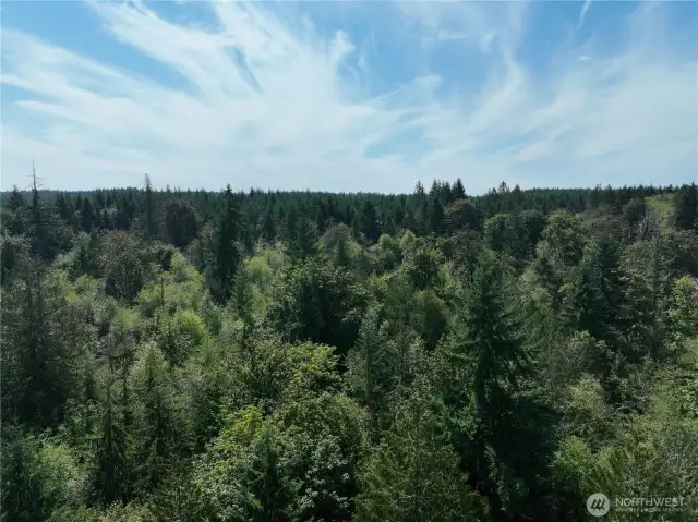 Drone View from above property