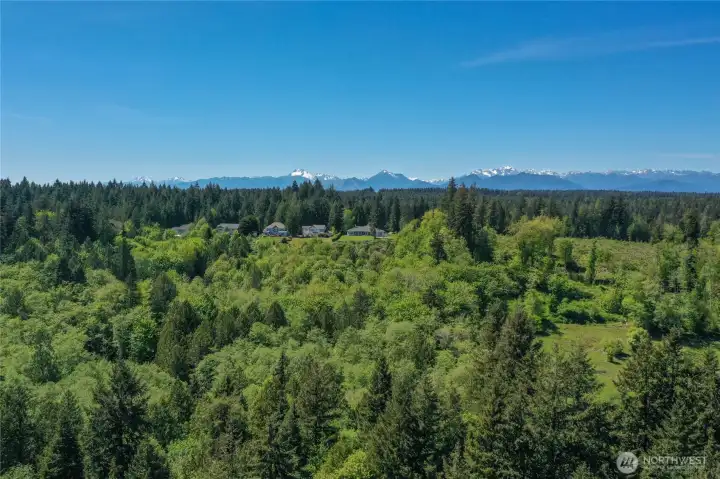 The property is to the right of the last house on the ridge. The big fir trees in the center right of the photo are on this lot.