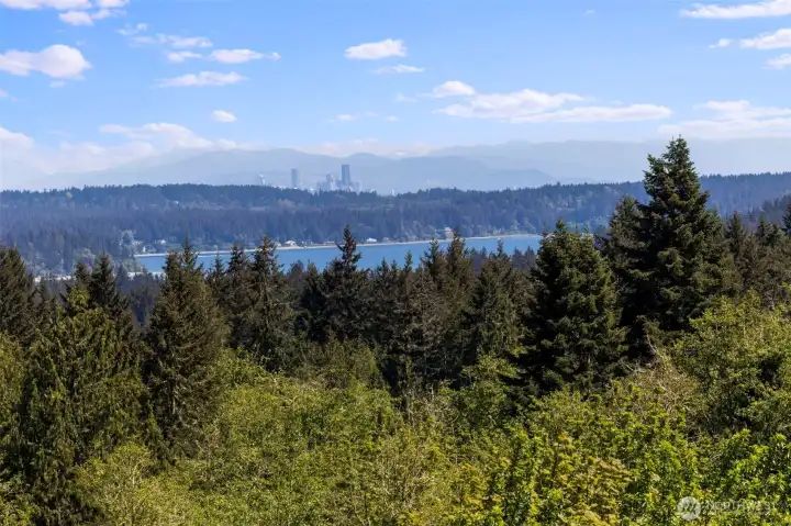 Close up of the Seattle skyline