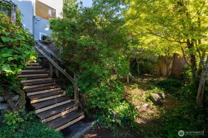 Stairs to lower garden in backyard.