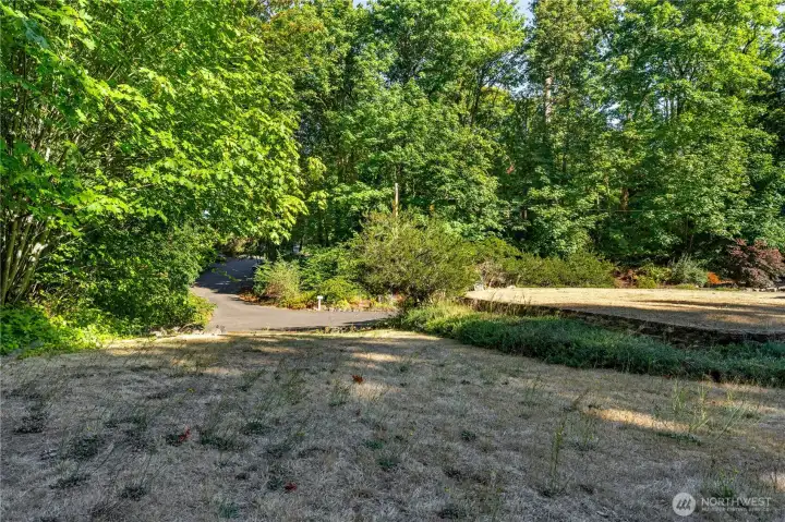 large yard