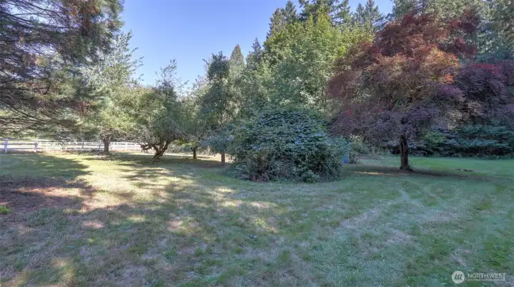 Lush green space with established landscaping and room to roam.