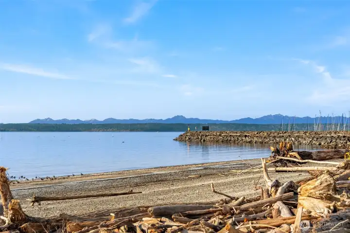Just another day at the beach.