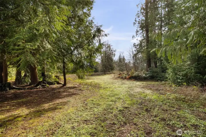 Plenty of room to clear for pastures or small hobby farm