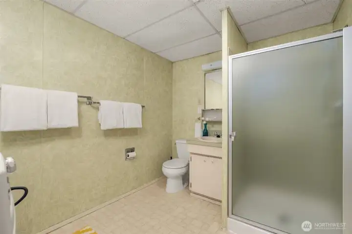 Lower level bathroom
