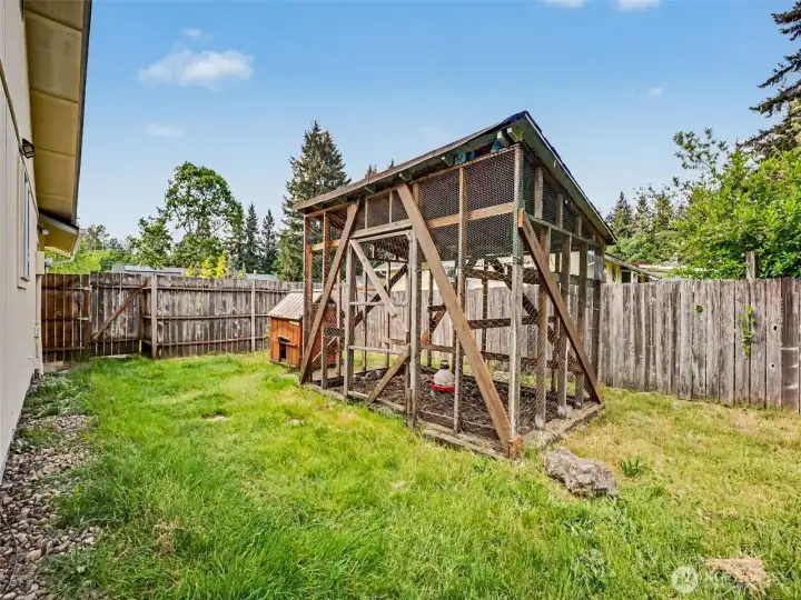 Chicken Coop