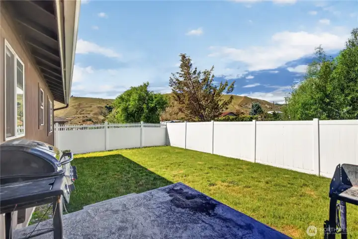 Backyard
