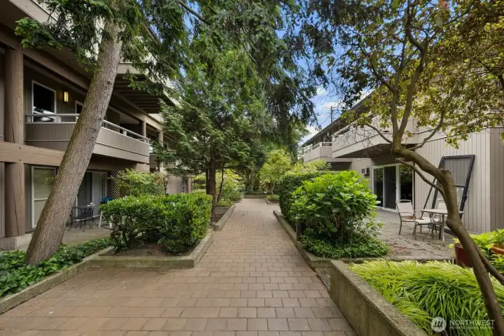 Peaceful and serene courtyard. Peaceful and serene courtyard.