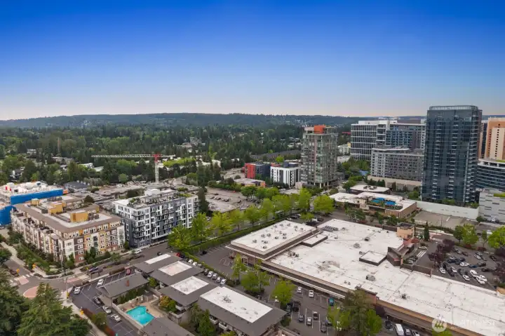 Right downtown Bellevue. Right downtown Bellevue.