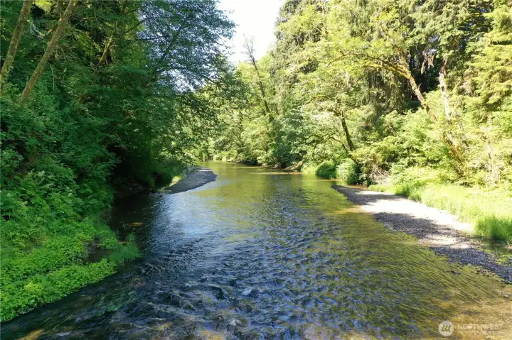 Naselle River frontage