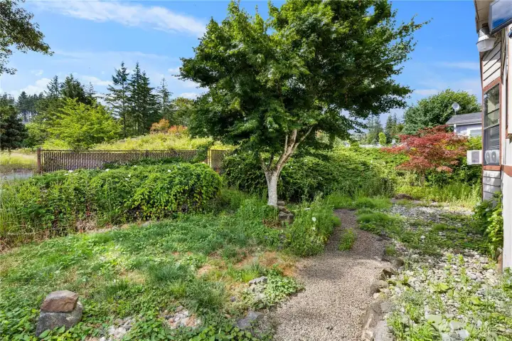 back yard