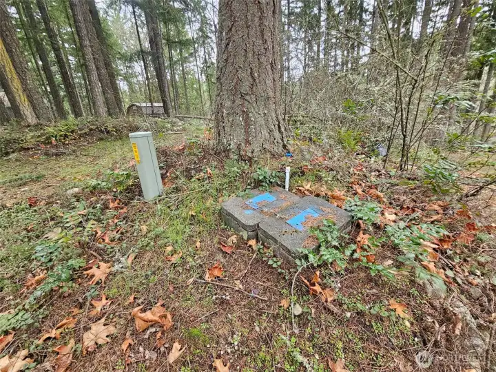 Utilities, Including a 3 Bedroom Septic System!