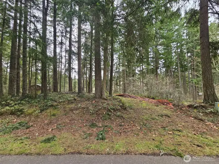 Lot 52 - Partial View