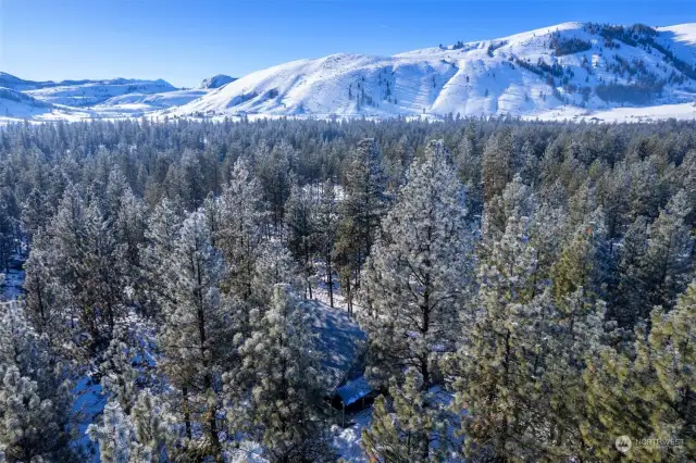 Beautiful 1 Acre lot, has tall pine trees. Great location near Winthrop and sport trail system. Stunning mountain views.