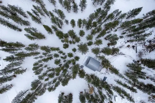 Aerial birds-eye view 5 Chase Road Home, driveway and outbuildings on beautiful Pine treed 1 Acre.
