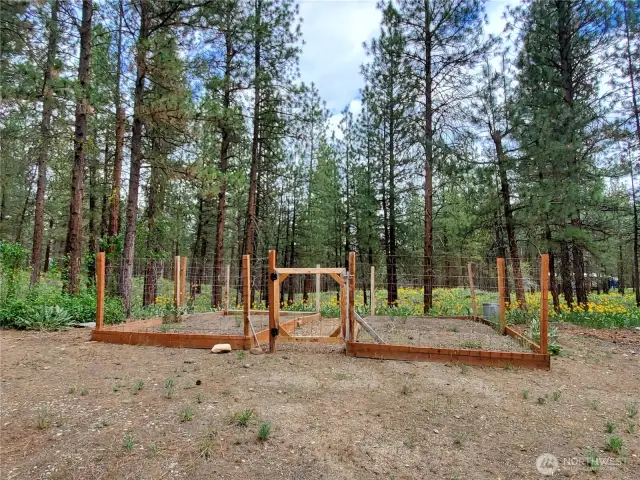 Fenced garden area with raised beds.
