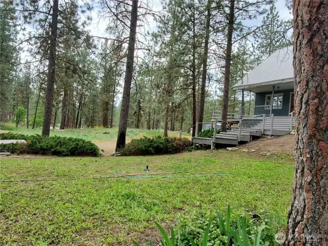 Grass yard in front of home is level and easy care.