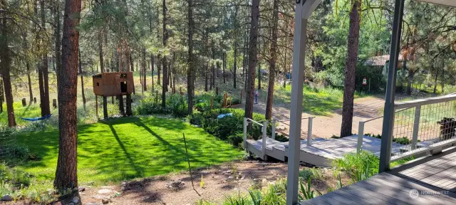 Verdant green grass yard on east side of Lot. Treehouse has been removed.