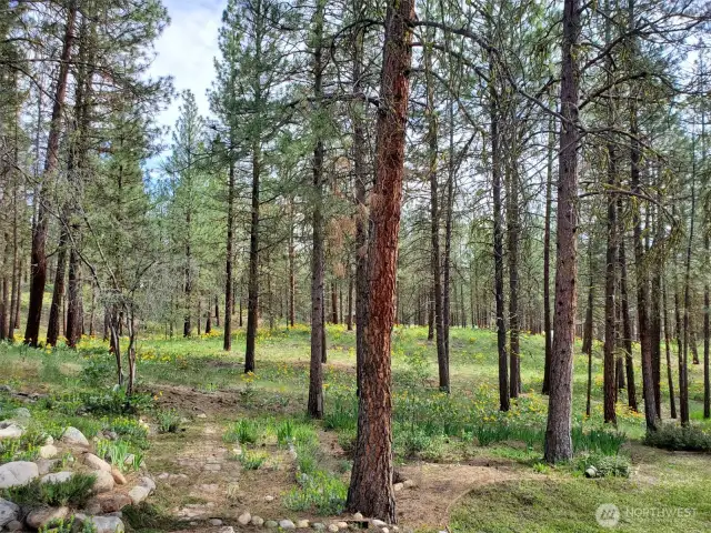 Natural treed canopy and walking trail on property. Garden area fenced. Peace and quiet are yours here.