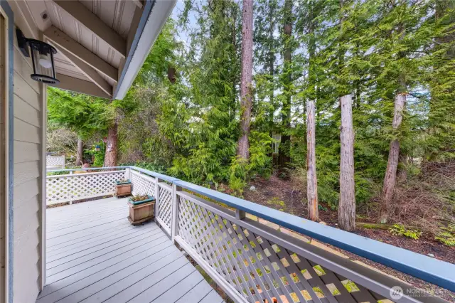 Nice sized deck