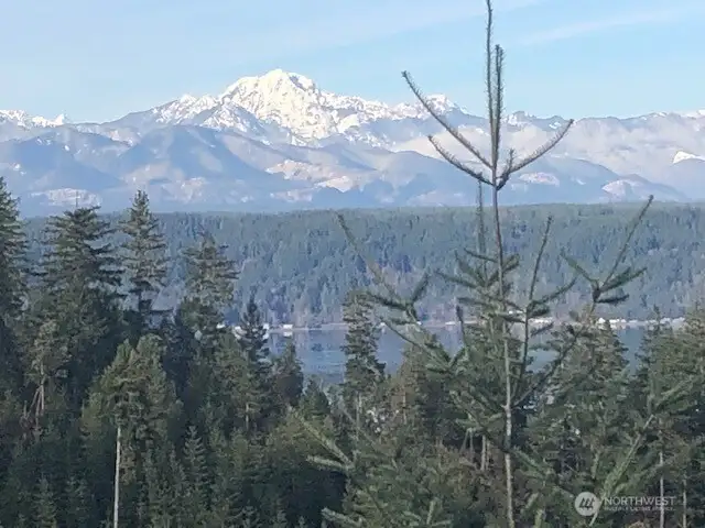 Snow-capped Olympic Mountains from building site
