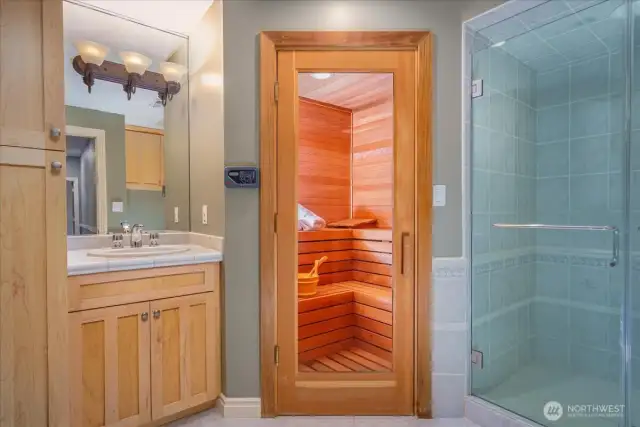 Lower level 3/4 bathroom with a sauna.