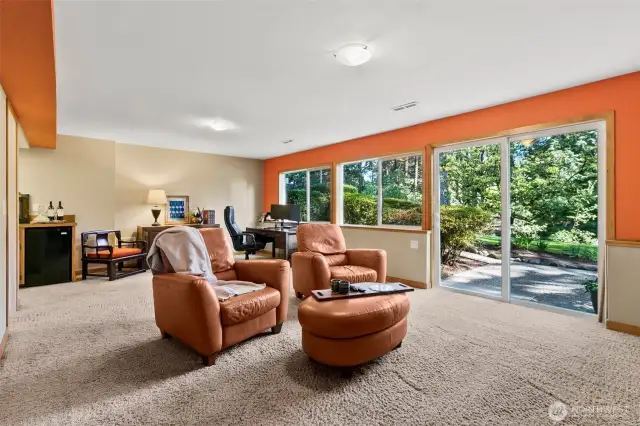 Downstairs Rec Room