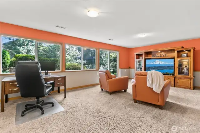 Downstairs Rec Room