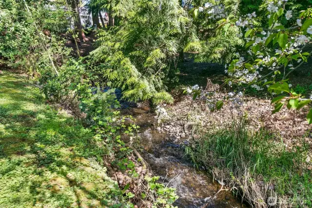 Salmon Creek runs along the back border of the lot.
