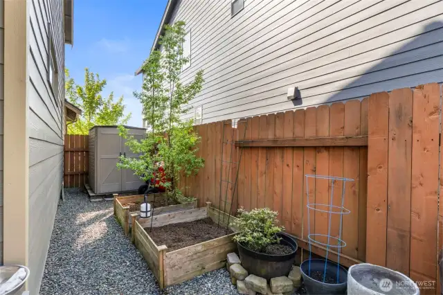 Garden space and Shed