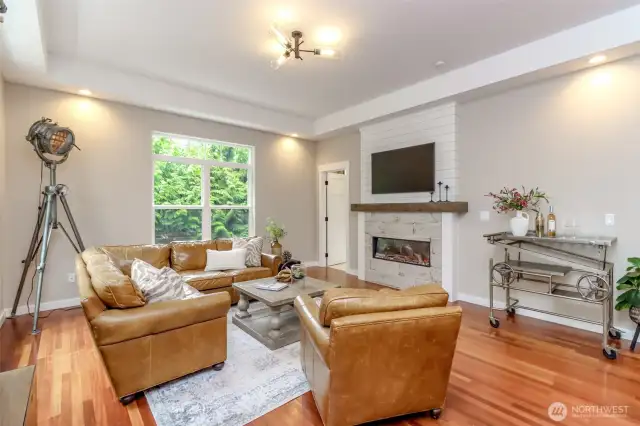 Great Room/Gorgeous New Electric Fireplace