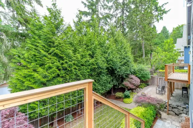Main Level Deck Stairs to back yard
