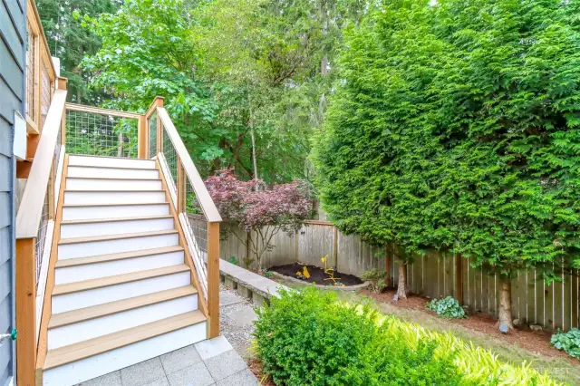 Deck Stairs Down to Yard