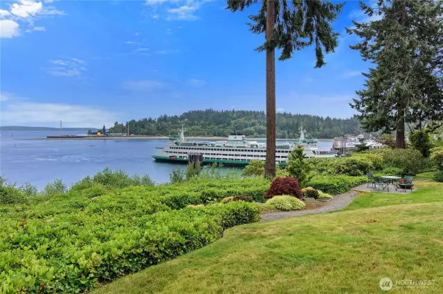 Welcome to 965 Winslow Way, #104 Garden Level Condominium. This is the view from your patio!