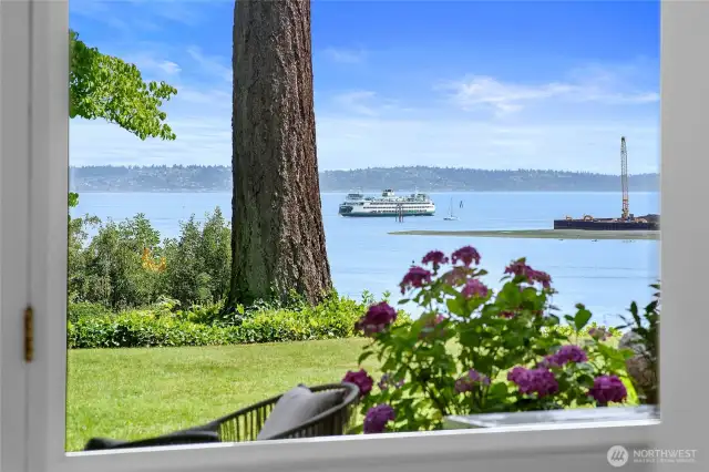 Enjoy watching and experiencing the rhythm of ferries coming and going
