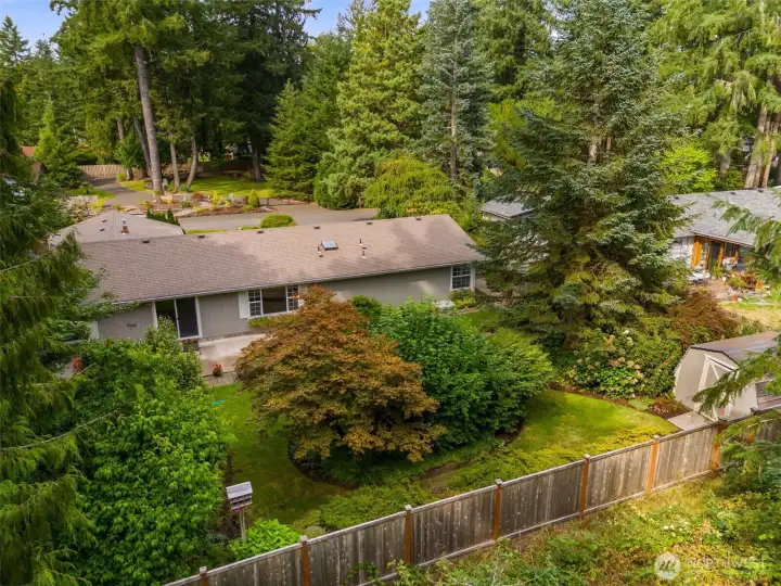 Fenced rear yard with large storage shed and green house.