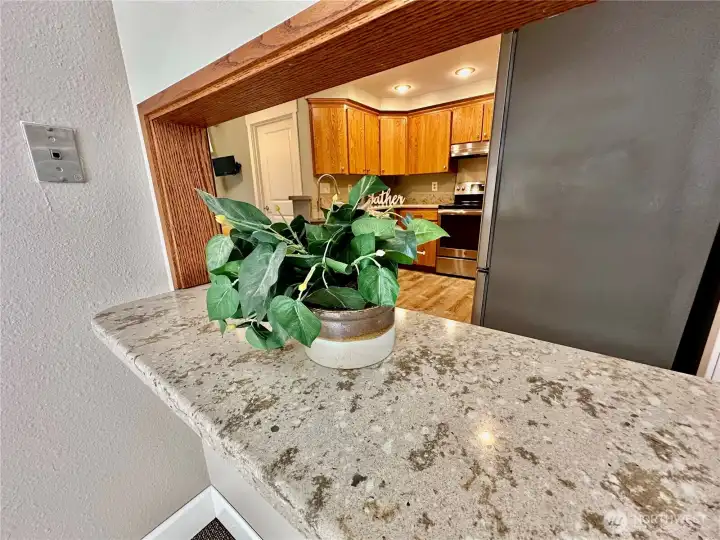 Family room has convenient pass-through bar to kitchen.