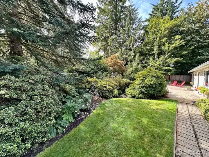 Looking from greenhouse towards patio.