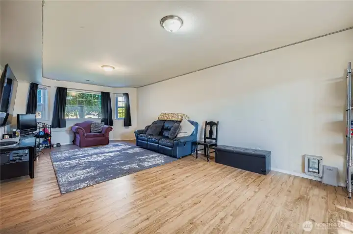 Lower level family room