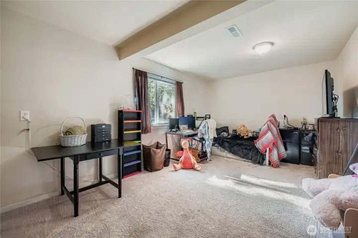 Lower level bedroom or office