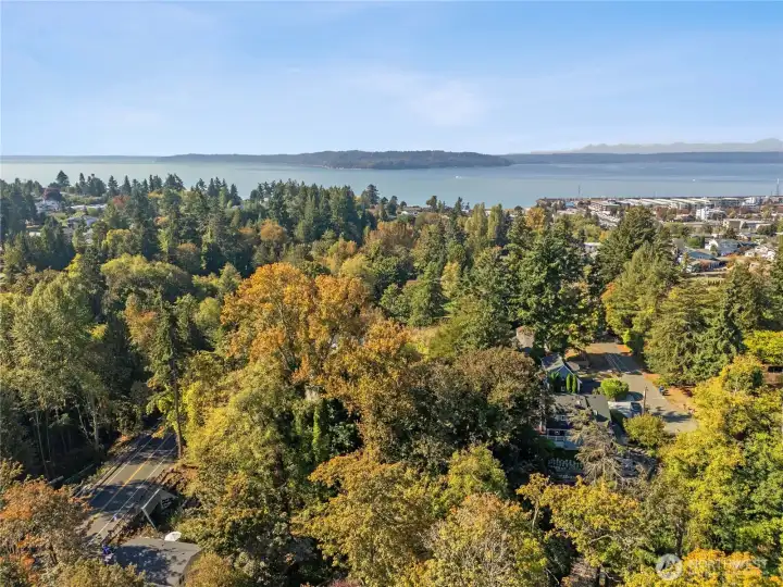 So close to the waterfront, you can take a morning or evening stroll (it's only 15 minutes)!