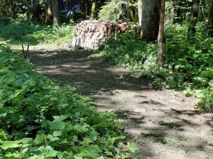 Surrounded by nature.