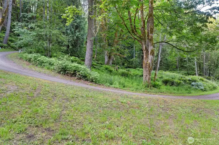 Looking at one of the possible building sites on the five acres.