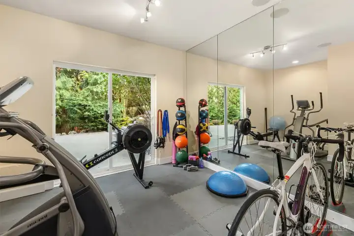 Lower level work out room.