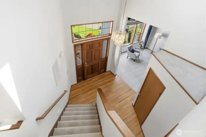 Lets venture back downstairs and have a look outside.